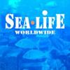 Sea Life worldwide Icon