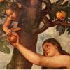 Sex Positions Ever(For Women) Icon