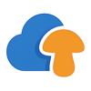 ShroomCast: Pilzprognose Icon