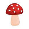 Shroomify: Pilze bestimmen Icon