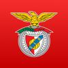 SL Benfica Official App Icon