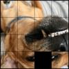 Slide Puzzle Wear - Watch Game Icon