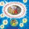 Srimad-Bhagavatam, Canto 1 Icon