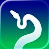 Steparium Icon