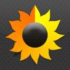 Sunfollower Icon