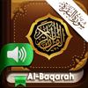 Surah Al Baqarah MP3 Offline Icon