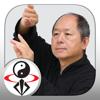 Tai Chi 13 Postures Icon