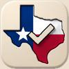 Texas Voters Icon