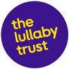 The Lullaby Trust Baby Check Icon