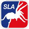 The Spider League Icon