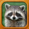 Tiere f&uuml;r Kinder, Vollversion Icon