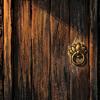 Toto: Visual Novel Player Icon