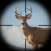 Trophy Hunter: Jagdspiele &ndash; 3D Icon