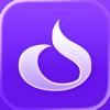 Vaju Icon