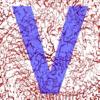 Vibrometer Icon