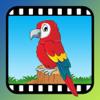 Video Touch: Wilde V&ouml;gel Icon