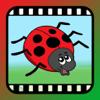 VideoTouch: Insekten & Freunde Icon