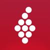 Vivino Icon