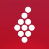 Vivino: Richtig Wein trinken Icon