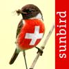 Vögel der Schweiz - Fotoguide Icon