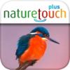 Vogelstimmen live erkennen Icon