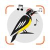 Vogelstimmen live Erkennen ID Icon