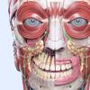 VOKA 3D Anatomy & Pathology Icon