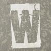 WAIL Icon
