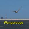 Wangerooge App für den Urlaub Icon