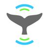 Whale Alert Icon