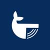 Whale Tracker Icon