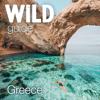 Wild Guide Greece Icon