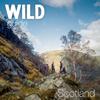 Wild Guide Scotland Icon