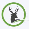 Wildbret Icon