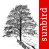 Winter Tree Id - British Isles Icon