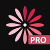 WomanLog Pro Calendar Icon