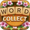 Word Collect : Word Search Icon