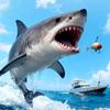 Yacht & Catch: Fishing Icon