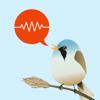 Zwitschomat - Vogelerkennung Icon