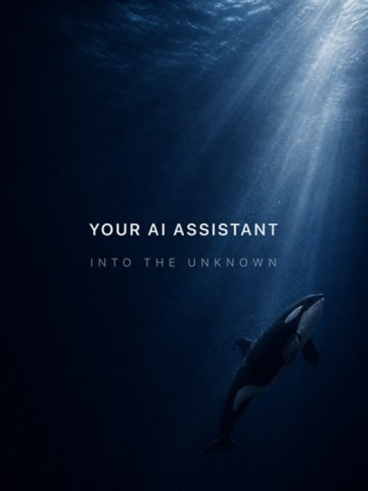 DeepSeek - KI-Assistent Tablet-Screenshot
