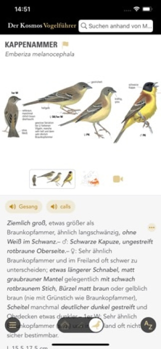 Der Kosmos Vogelf&uuml;hrer Smartphone-Screenshot3