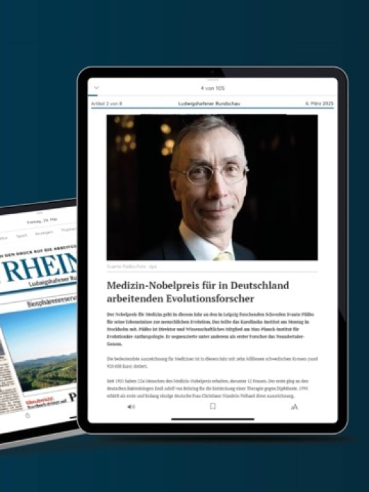DIE RHEINPFALZ – Nachrichten Tablet-Screenshot9