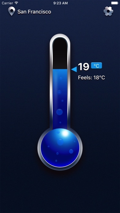 Echtes Thermometer Smartphone-Screenshot