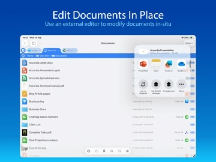 FileBrowser - Document Manager Tablet-Screenshot4