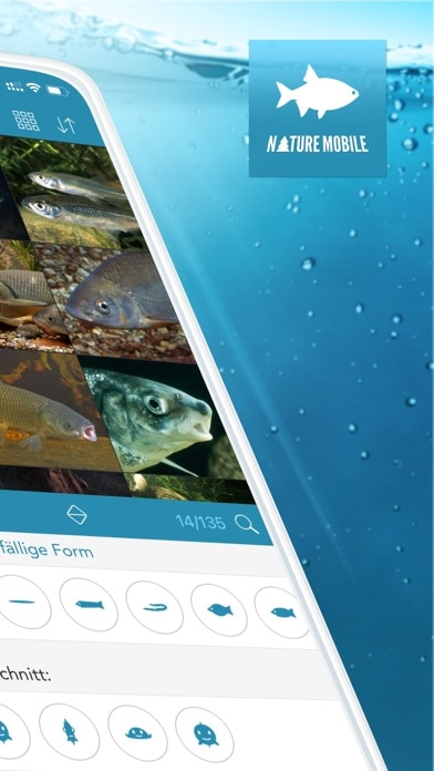 Fische PRO - Lexikon Smartphone-Screenshot2