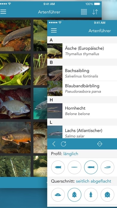 Fische PRO - Lexikon Smartphone-Screenshot3