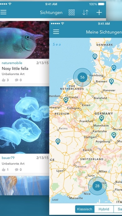 Fische PRO - Lexikon Smartphone-Screenshot6