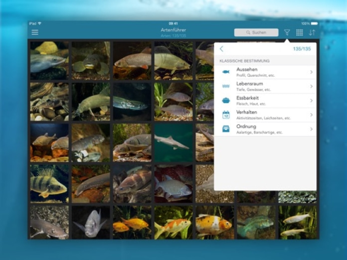 Fische PRO - Lexikon Tablet-Screenshot2