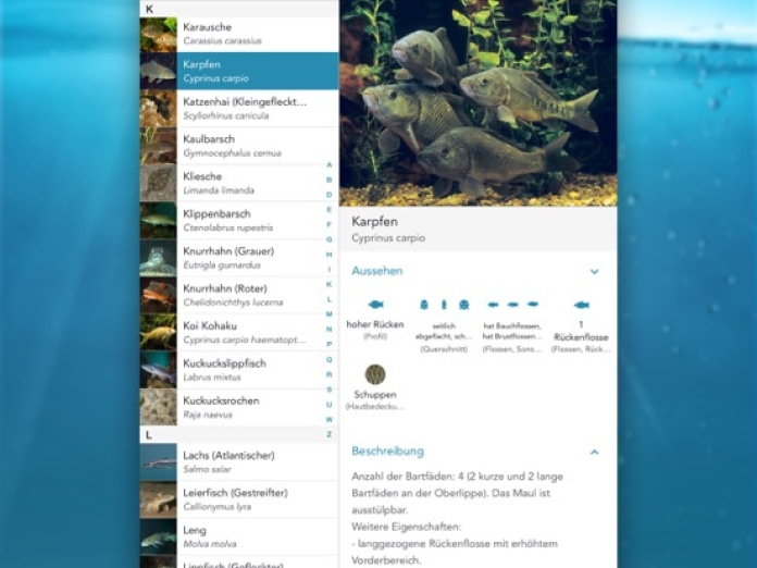 Fische PRO - Lexikon Tablet-Screenshot3
