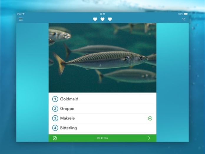 Fische PRO - Lexikon Tablet-Screenshot4